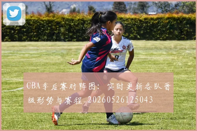 CBA季后赛对阵图:实时更新各队晋级形势与赛程_20260526125043