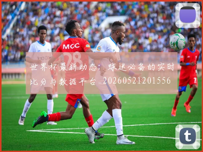 世界杯最新动态：球迷必备的实时比分与数据平台_20260521201556