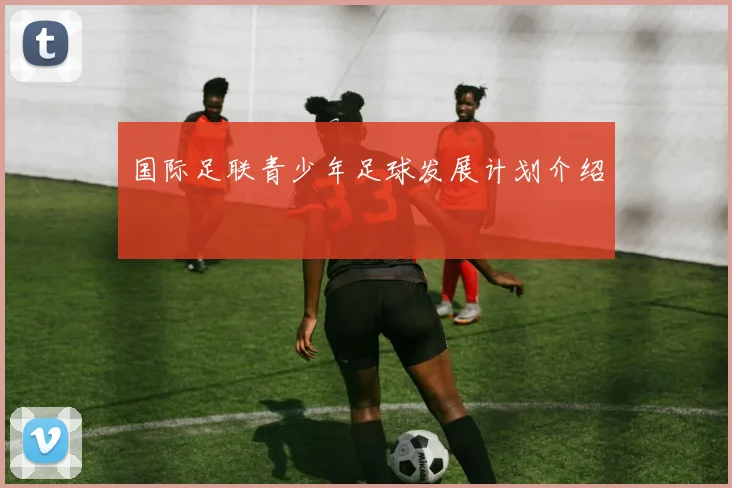 国际足联青少年足球发展计划介绍