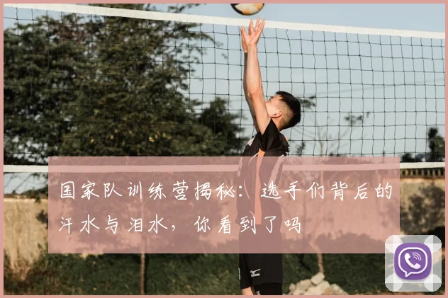 国家队训练营揭秘:选手们背后的汗水与泪水,你看到了吗